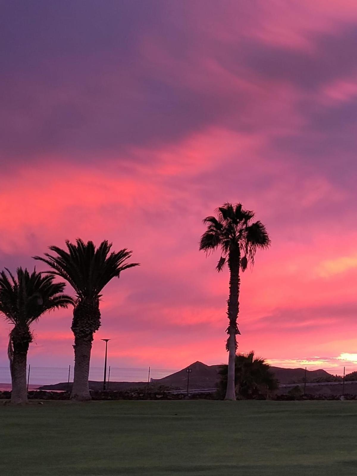 Tamaragua Apartment, Golf Del Sur San Miguel de Abona Eksteriør billede